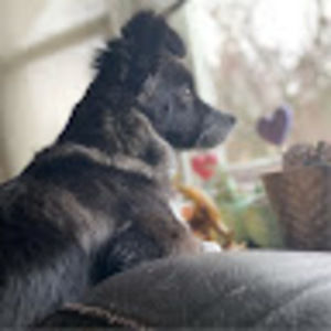 Meet your Posher, Dylan